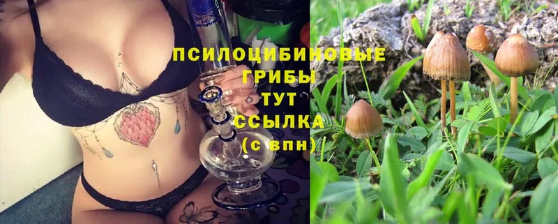 Псилоцибиновые грибы MAGIC MUSHROOMS  Лениногорск 